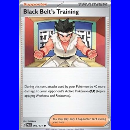 PRE 096 - Black Belt's Training