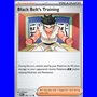 PRE 096 - Black Belt's Training