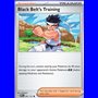 PRE 097 - Black Belt's Training - Reverse Holo