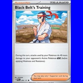PRE 099 - Black Belt's Training - Reverse Holo