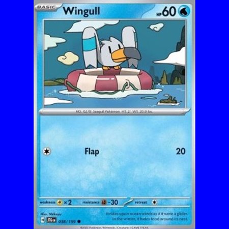 JTG 038 - Wingull - Reverse Holo