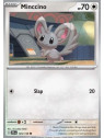 JTG 125 - Minccino