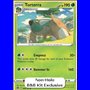 BRS 008 - Torterra