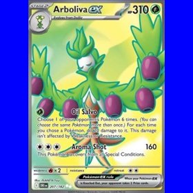 DRI 207 - Arboliva ex DRI 207 - Arboliva ex