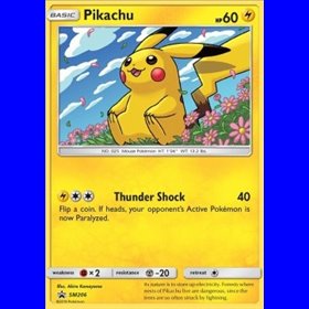 SM 206 - Pikachu