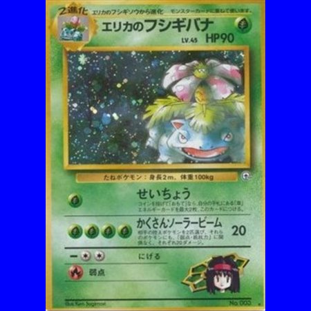 G2 - Erika's Venusaur