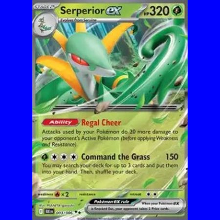 BLK 003 - Serperior ex