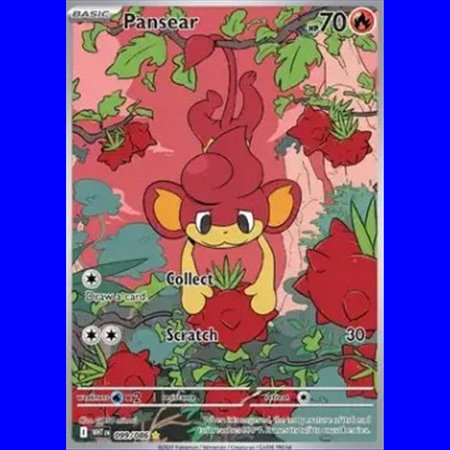 WHT 099 - Pansear