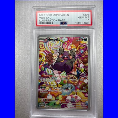 PSA - PAR 206 - Morpeko (10)