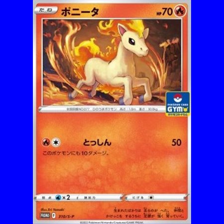S-P 310 - Ponyta