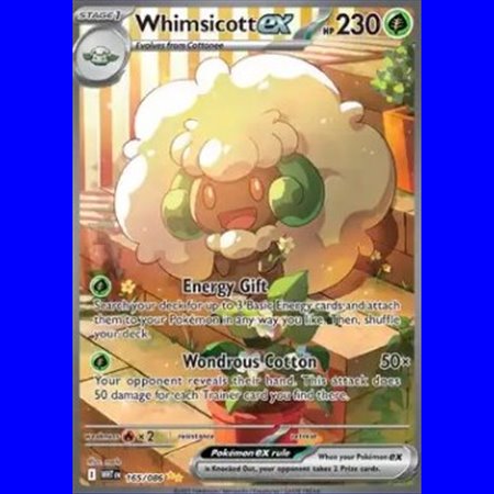 WHT 165 - Whimsicott ex