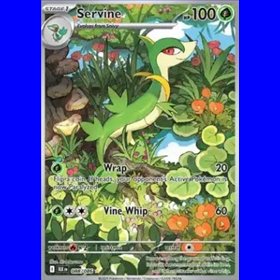 BLK 088 - Servine BLK 088 - Servine