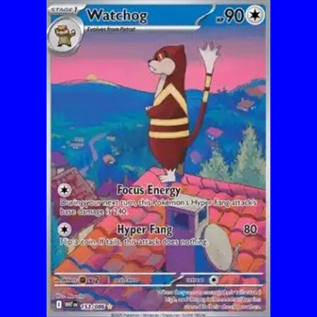 WHT 153 - Watchog
