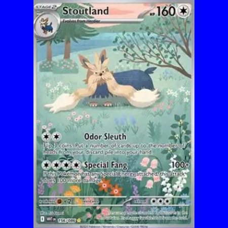 WHT 156 - Stoutland