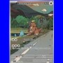 DRI 204 - Kangaskhan