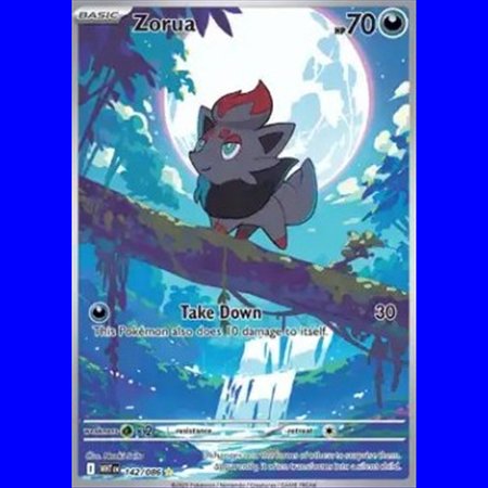 WHT 142 - Zorua