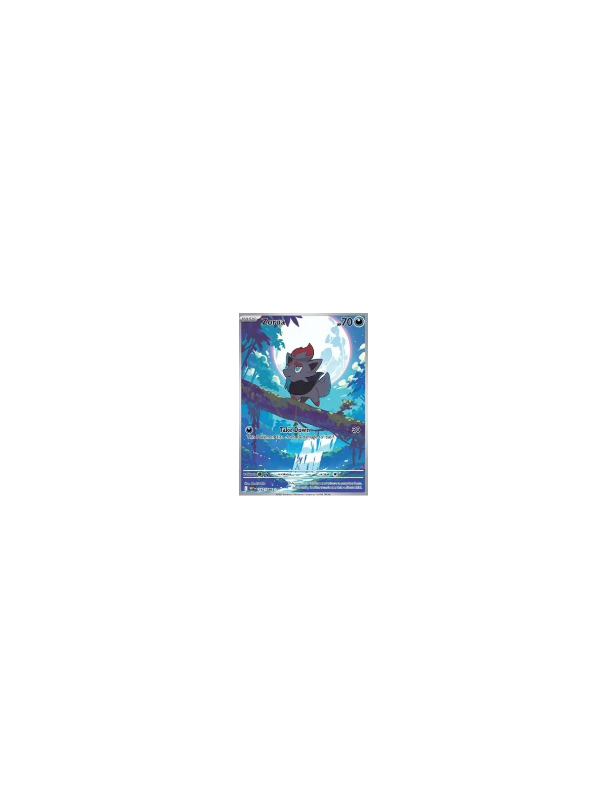 WHT 142 - Zorua