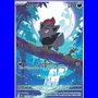 WHT 142 - Zorua