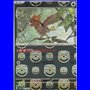 sv2aKOR 021 - Spearow - MasterBall Reverse Holo - Korean