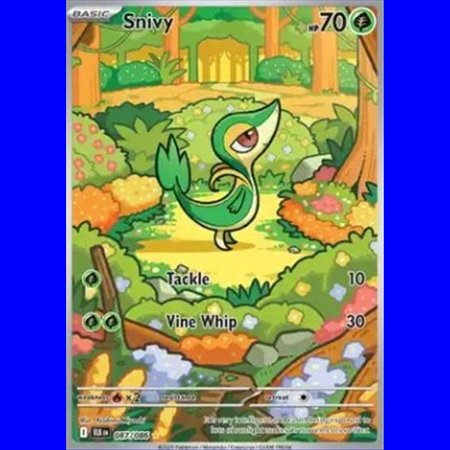 BLK 087 - Snivy