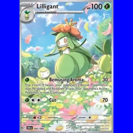 BLK 092 - Lilligant