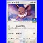 S-P 163 - Eevee