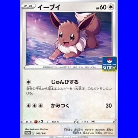 S-P 163 - Eevee