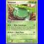 POP2 006 - Venusaur