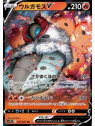s7R 015 - Volcarona V