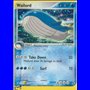 RS 014 - Wailord - Reverse Holo