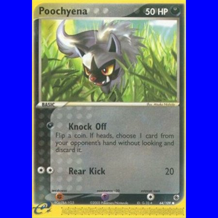 RS 064 - Poochyena - Reverse Holo