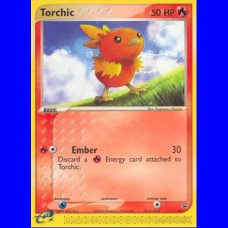 NP 017 - Torchic