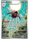 MEG 137 - Ninjask