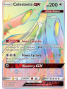 UNB 228 - Celesteela GX