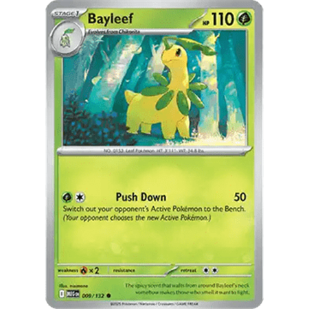 MEG 009 - Bayleef