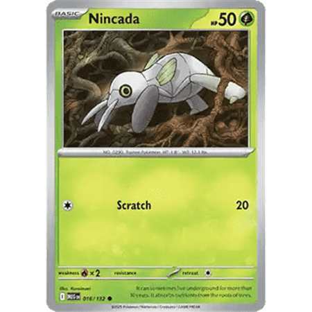 MEG 016 - Nincada