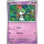 MEG 058 - Ralts