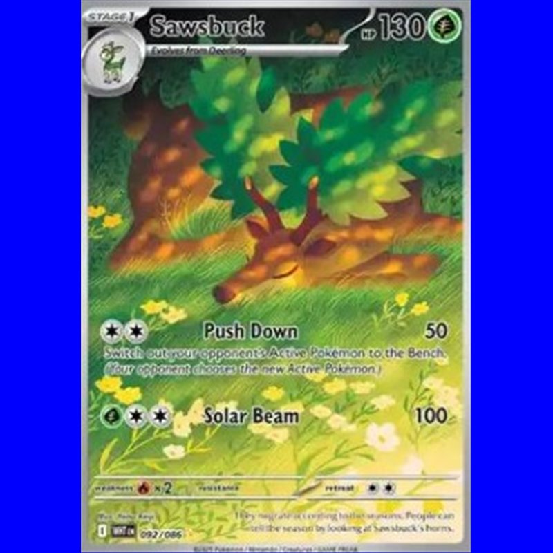 WHT 092 - Sawsbuck