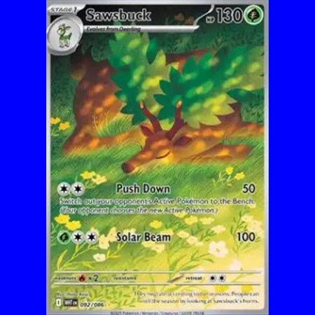 WHT 092 - Sawsbuck