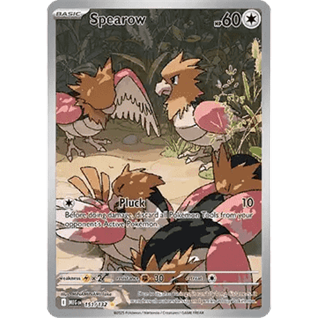 MEG 151 - Spearow