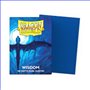 DragonShield - Dual Matte - Wisdom (100)