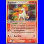 FL 013 - Rapidash - Reverse Holo