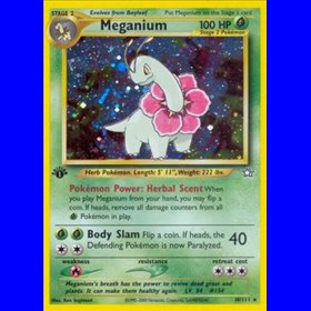 NG 010 - Meganium