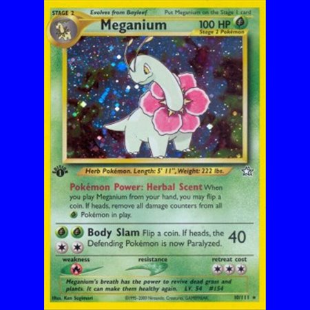 NG 010 - Meganium
