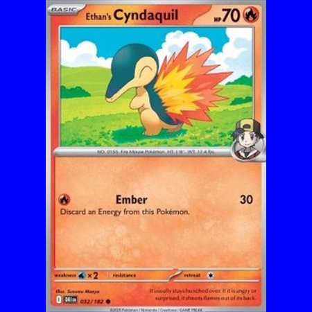 DRI 032 - Ethan's Cyndaquil