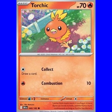 DRI 040 - Torchic