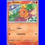 DRI 040 - Torchic - Reverse Holo