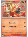 DRI 041 - Combusken - Reverse Holo