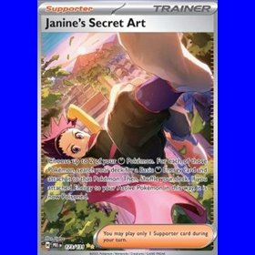 PRE 173 - Janine's Secret Art