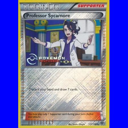 XY 122 - Professor Sycamore - Professor Program